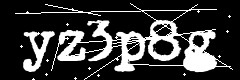 图形验证码