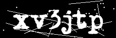 图形验证码