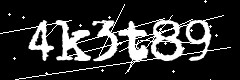 图形验证码