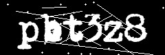 图形验证码